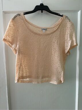 Express Blush Lace Short Sleeve Crop Top